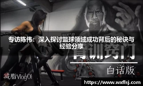 专访陈伟：深入探讨篮球领域成功背后的秘诀与经验分享