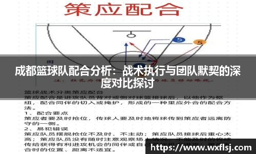 成都篮球队配合分析：战术执行与团队默契的深度对比探讨