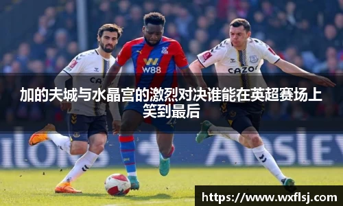 加的夫城与水晶宫的激烈对决谁能在英超赛场上笑到最后