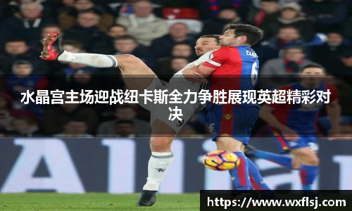 水晶宫主场迎战纽卡斯全力争胜展现英超精彩对决